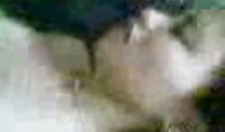 Belles video x pornographie femmes brésiliennes