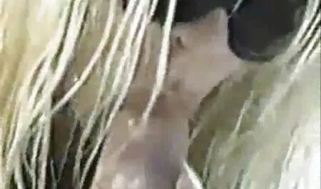 Latina au cul juteux sur un bateau vidéos de films x gratuits